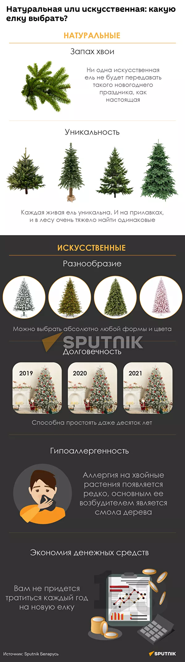 Инфографика: Какую елку выбрать? - Sputnik Азербайджан