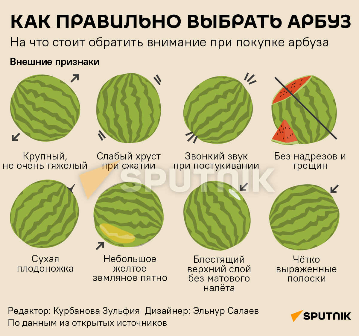 Инфографика: Как правильно выбирать арбуз - Sputnik Азербайджан