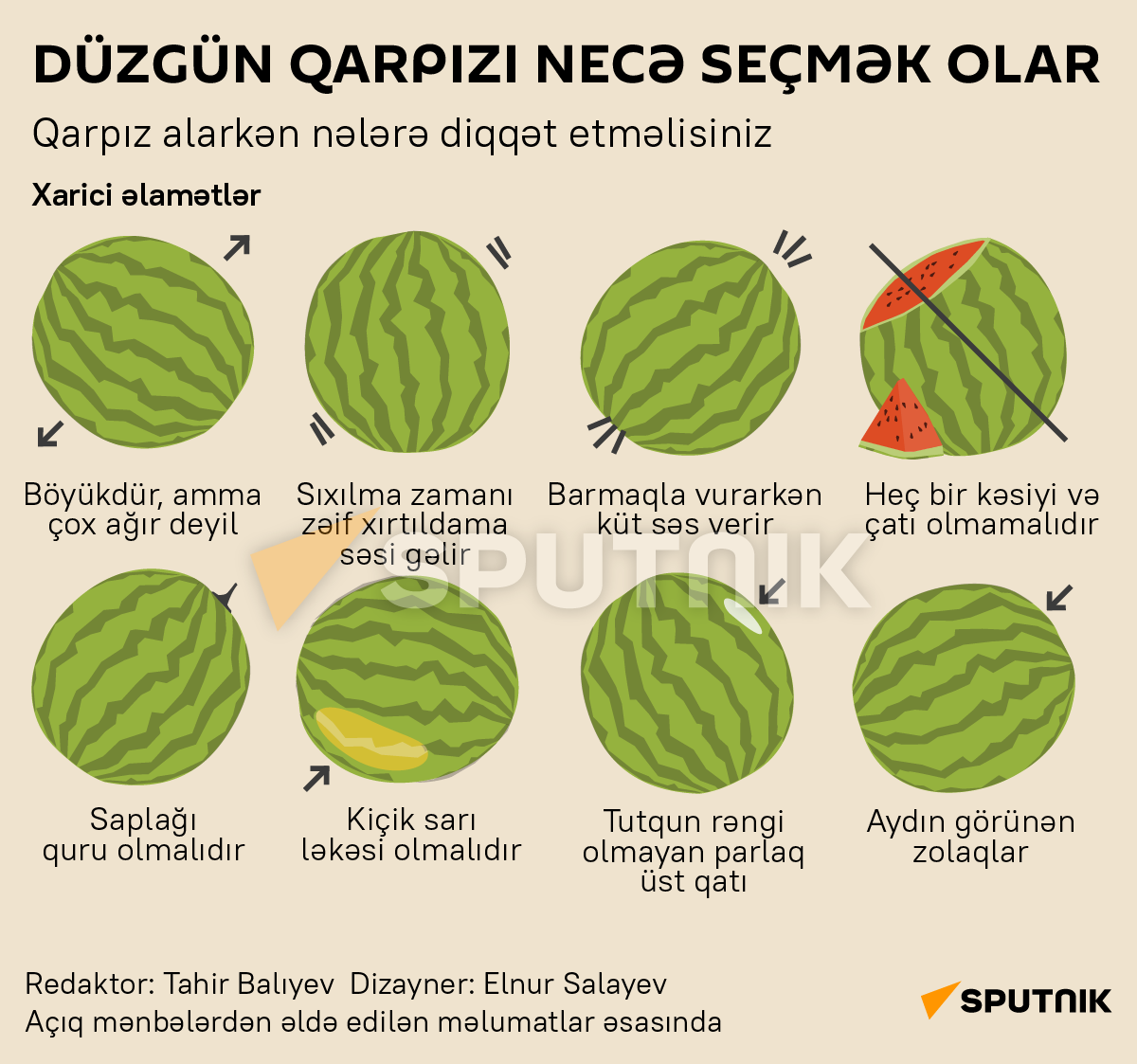 İnfoqrafika: Düzgün qarpızı necə seçmək olar - Sputnik Azərbaycan