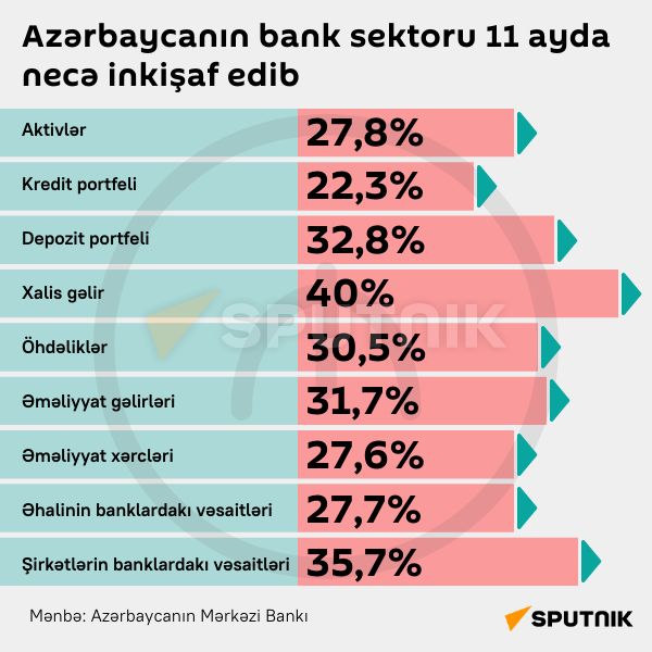 İnfoqrafika: Azərbaycanda bank sektoru 11 ayda necə infişaf edib - Sputnik Azərbaycan