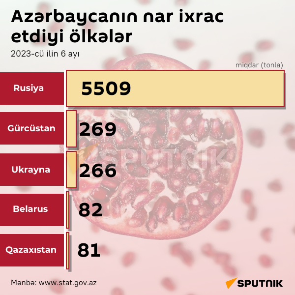 İnfoqrafika: Azərbaycanın nar ixrac etdiyi ölkələr - Sputnik Azərbaycan