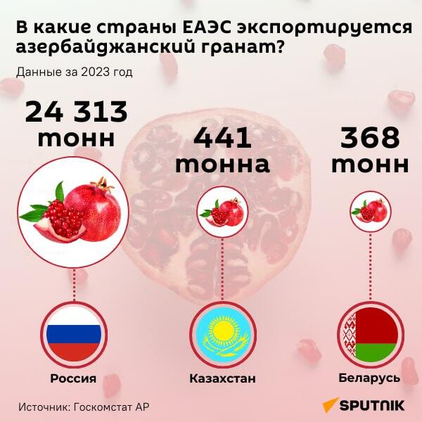 Инфографика: В какие страны ЕАЭС экспортируется азербайджанский гранат? - Sputnik Азербайджан