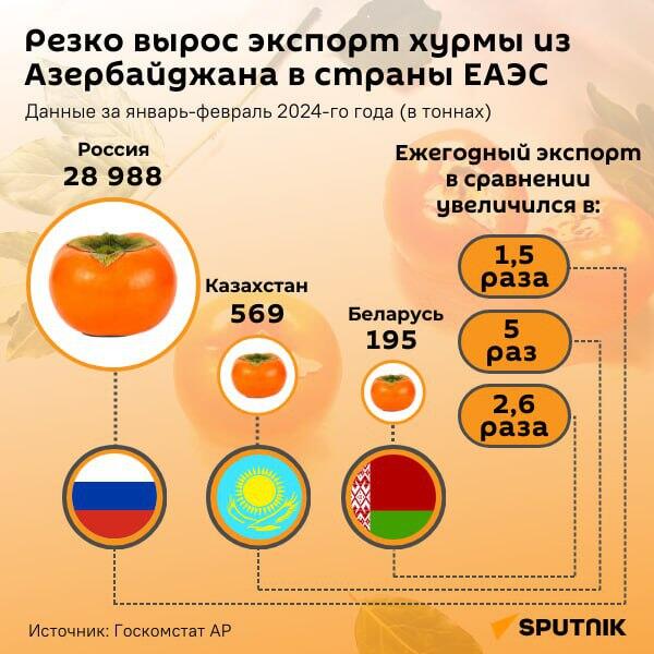Инфографика: Экспорт хурмы - Sputnik Азербайджан