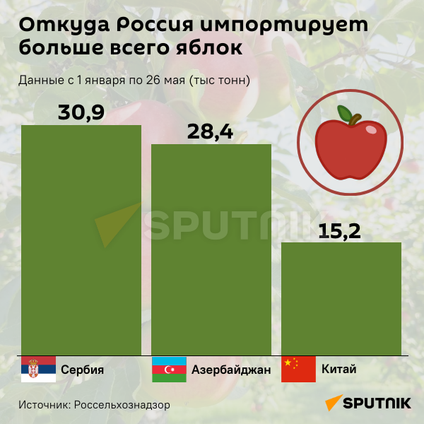 Инфографика: Откуда Россия импортирует больше всего яблок - Sputnik Азербайджан