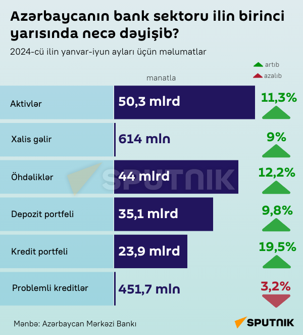  İnfoqrafika: Azərbaycanın bank sektoru ilin birinci yarısında necə dəyişib - Sputnik Azərbaycan