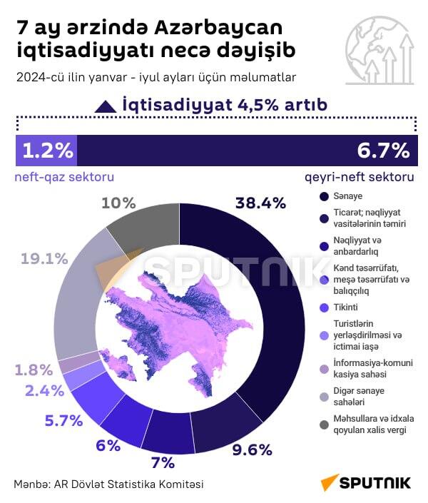 İnfoqrafika: 7 ay ərzində Azərbaycan iqtisadiyyatı necə dəyişib - Sputnik Azərbaycan