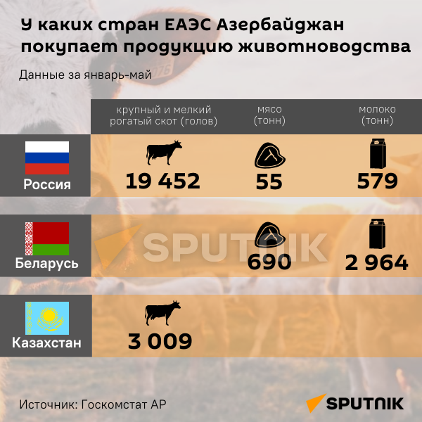 Инфографика: У каких стран ЕАЭС Азербайджан покупает продукцию животноводства? - Sputnik Азербайджан