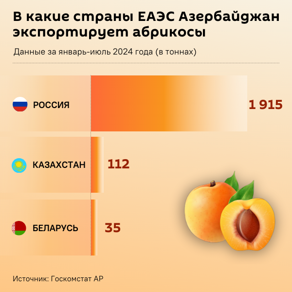 Инфографика: В какие страны ЕАЭС Азербайджан экспортирует абрикосы - Sputnik Азербайджан