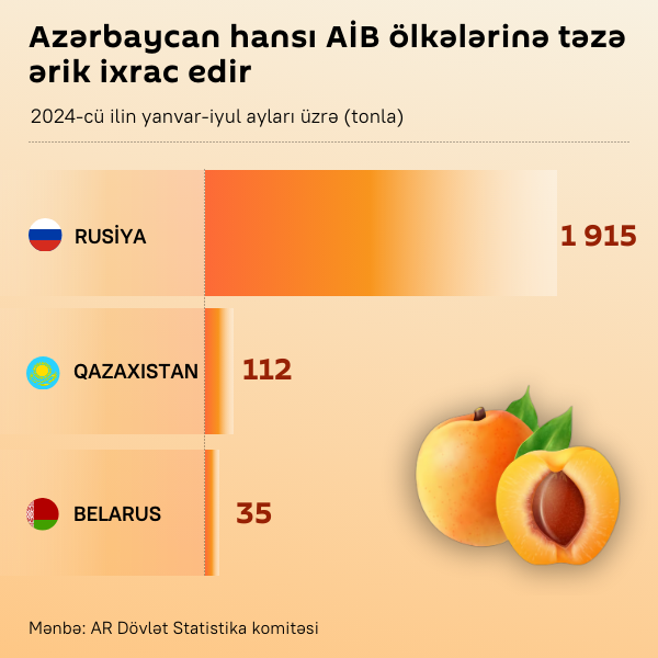 İnfoqrafika: Azərbaycan hansı AİB ölkələrinə təzə ərik ixrac edir - Sputnik Azərbaycan