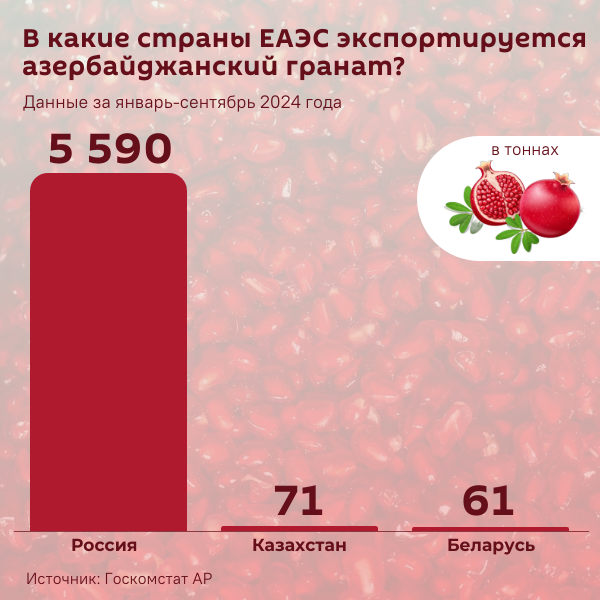 Инфографика: В какие страны ЕАЭС экспортируется азербайджанский гранат? - Sputnik Азербайджан