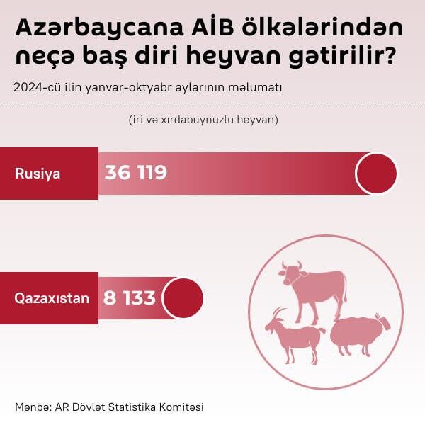 İnfoqrafika: Azərbaycana AİB ölkələrinə neçə baş diri heyvan gətirilir? - Sputnik Azərbaycan