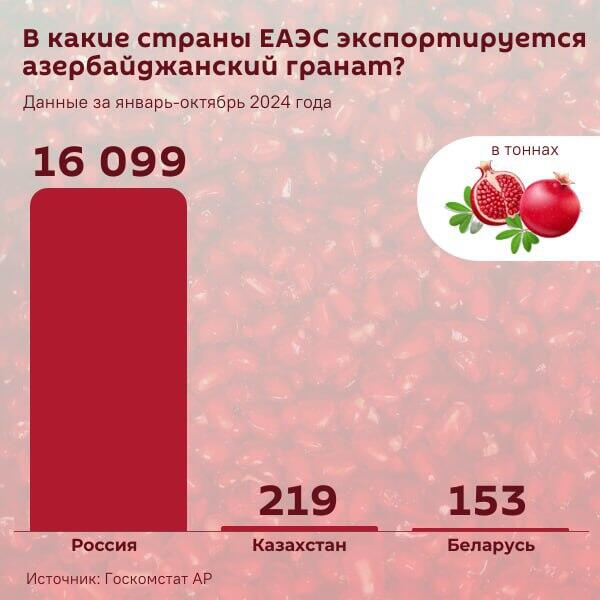 Инфографика: В какие страны ЕАЭС экспортируется азербайджанский гранат? - Sputnik Азербайджан