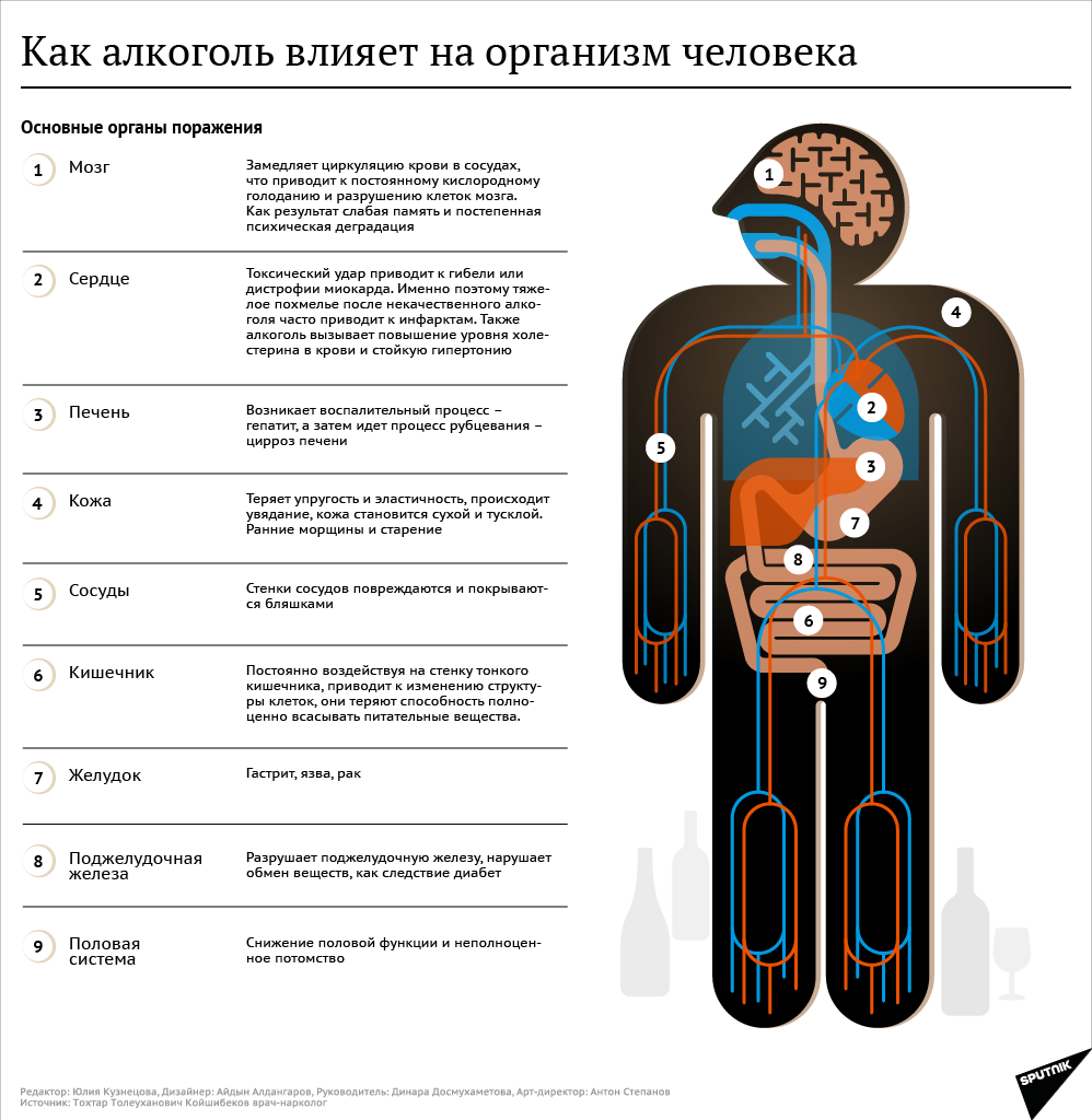Как алкоголь влияет на организм - Sputnik Азербайджан