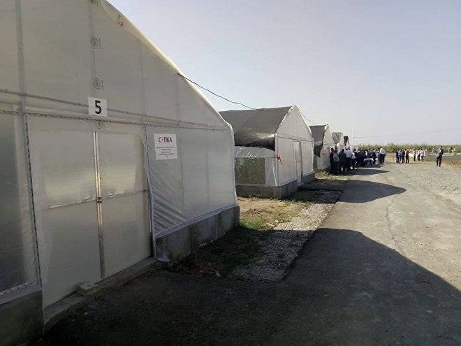 Теплицы в селе Джоджуг Марджанлы Теплицы в селе Джоджуг Марджанлы