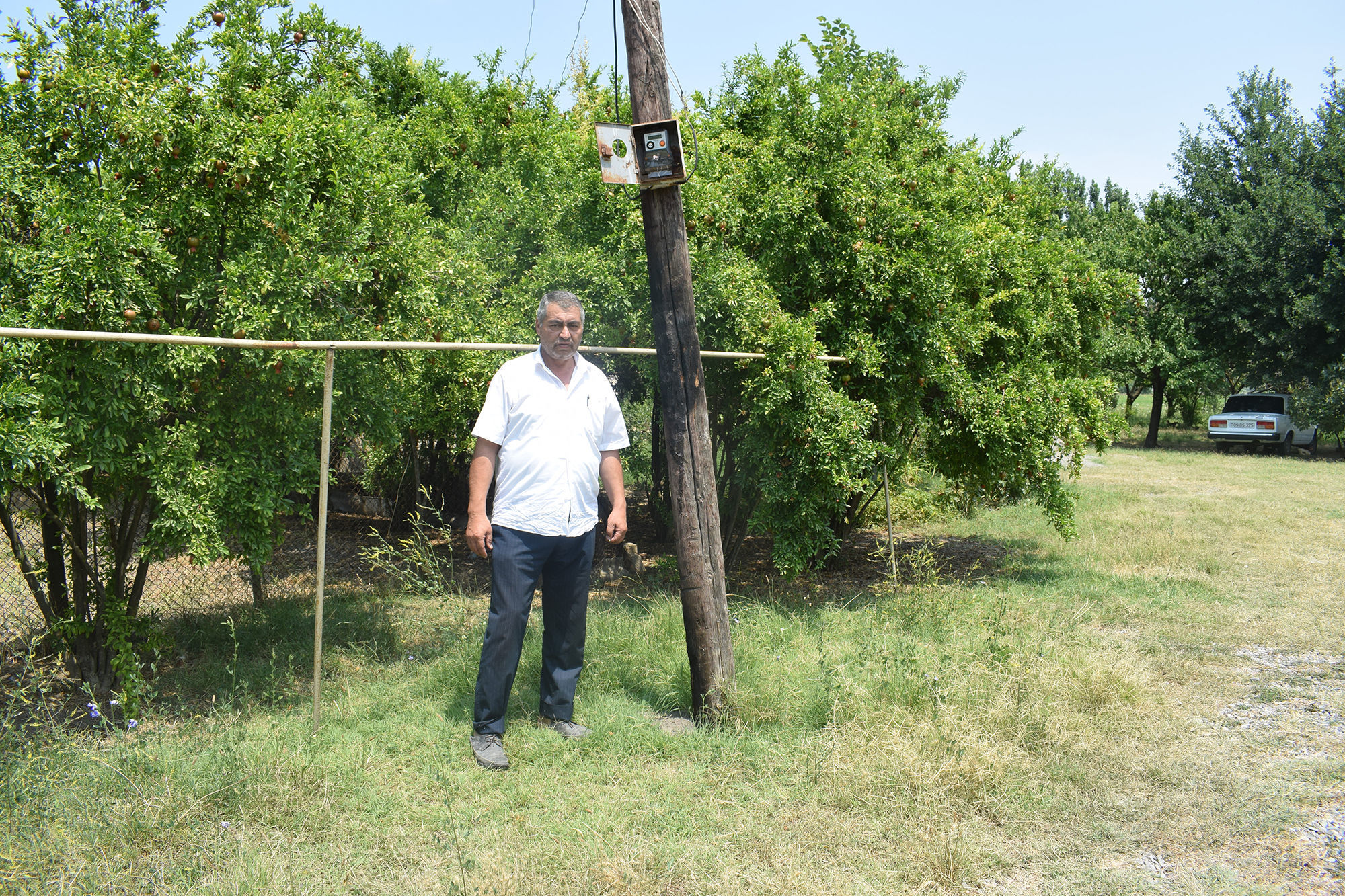 Bərdə rayonu Qaradəmirçi kənd sakini İsrafil Paşayev Bərdə rayonu Qaradəmirçi kənd sakini İsrafil Paşayev