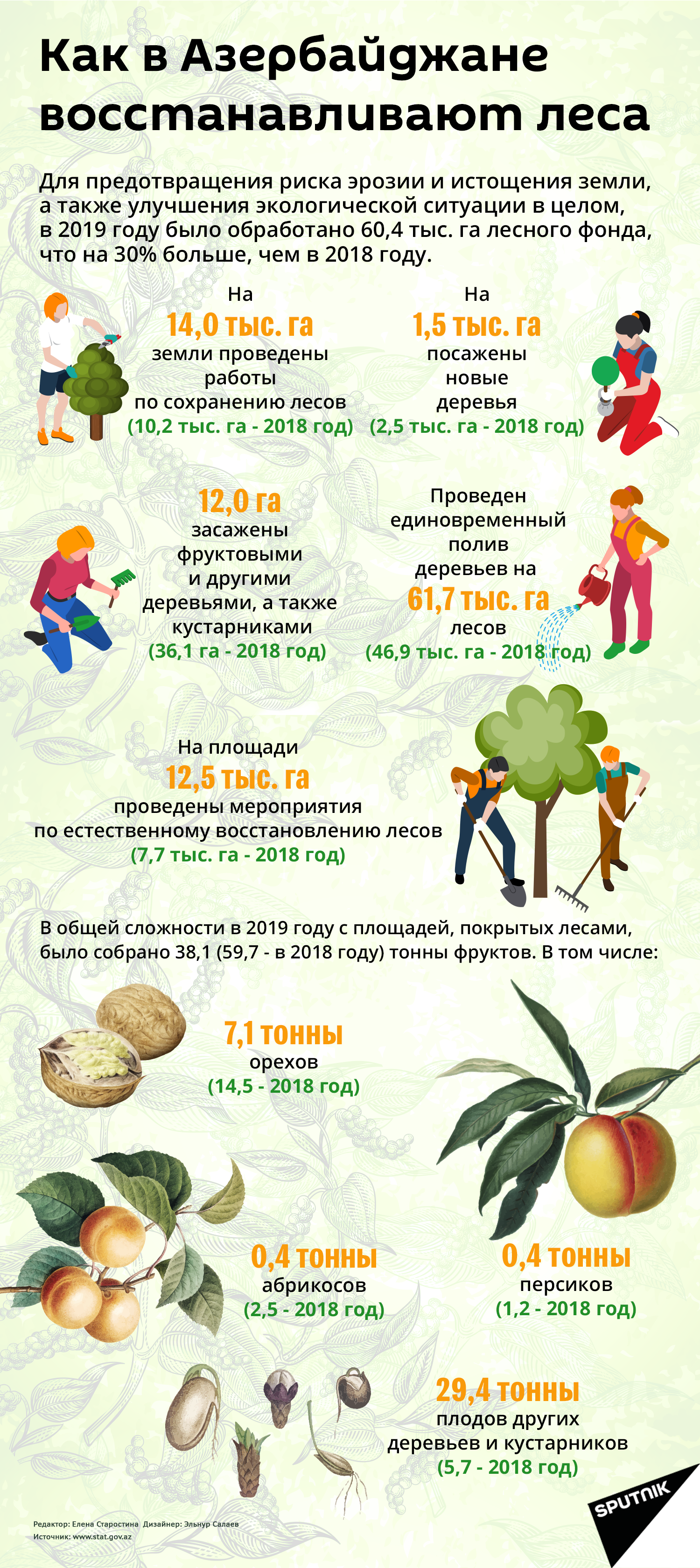 Инфографика: Как в Азербайджане восстанавливаются леса - Sputnik Азербайджан
