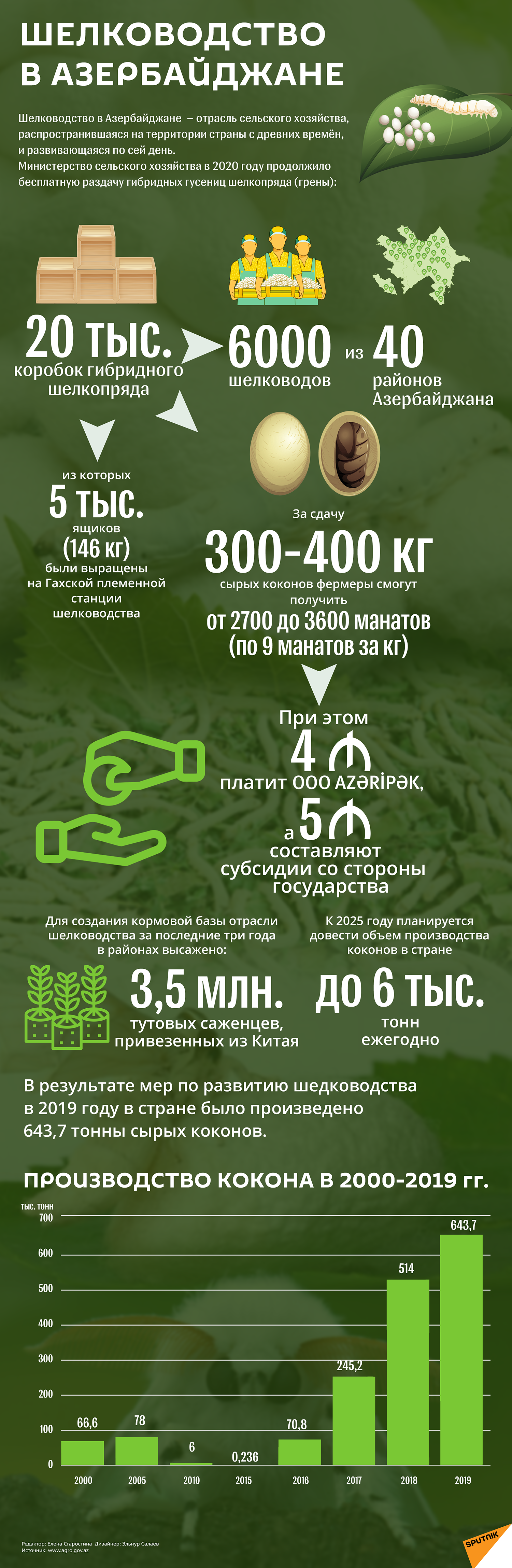 Инфографика: Шелководство в Азербайджане - Sputnik Азербайджан