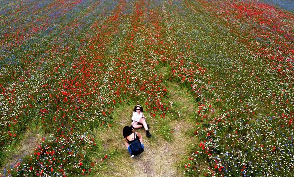 Девушки на цветущем лугу Кастелуччо в Умбрии, Италия - Sputnik Азербайджан