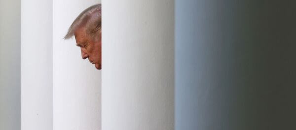 Президент США Дональд Трамп, фото из архива Президент США Дональд Трамп, фото из архива - Sputnik Азербайджан