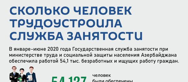 Инфографика: Сколько человек трудоустроила служба занятости Инфографика: Сколько человек трудоустроила служба занятости - Sputnik Азербайджан