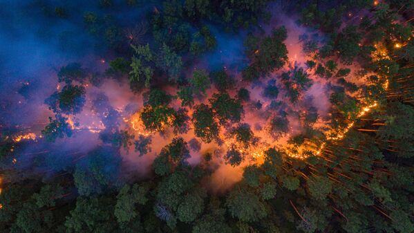 Вид на горящий лес в Красноярской области  - Sputnik Азербайджан