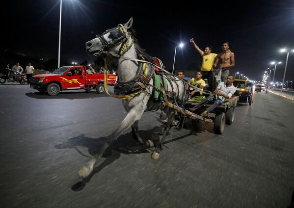 Египетские торговцы во время скачек на повозке в Каире  - Sputnik Азербайджан