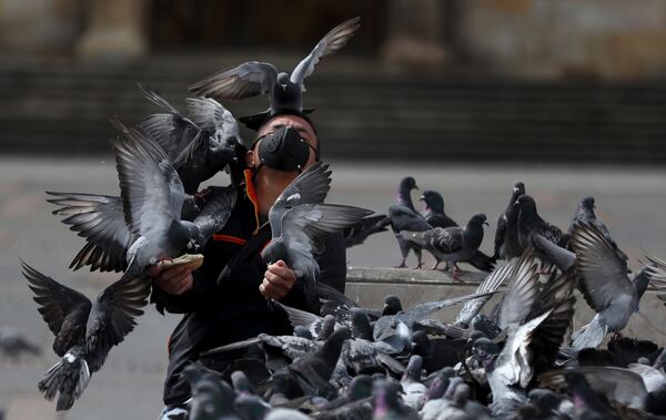 Человек в защитной маске во время кормления голубей в Боготе, Колумбия  - Sputnik Азербайджан