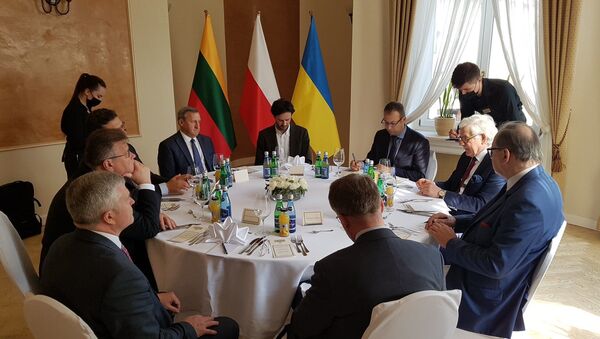 Глава МИД Литвы Линас Линкявичюс на встрече с польским и украинским коллегами в Люблино, 28 июля 2020 года - Sputnik Азербайджан