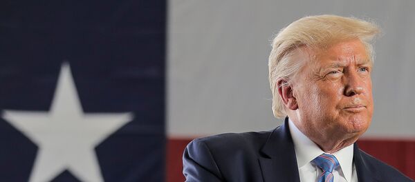 Президент США Дональд Трамп, фото из архива - Sputnik Азербайджан