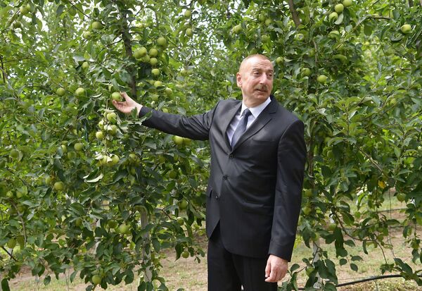 Президент Ильхам Алиев открыл важные объекты Президент Ильхам Алиев открыл важные объекты - Sputnik Азербайджан