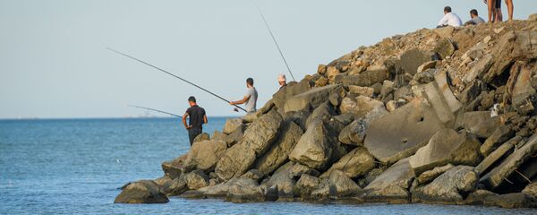 Bakıda çimərlik Bakıda çimərlik - Sputnik Азербайджан
