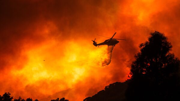 Вертолет над горящим лесом недалеко от Санта-Клариты, Калифорния - Sputnik Азербайджан