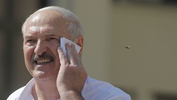 Президент Беларуси Александр Лукашенко, фото из архива - Sputnik Azərbaycan