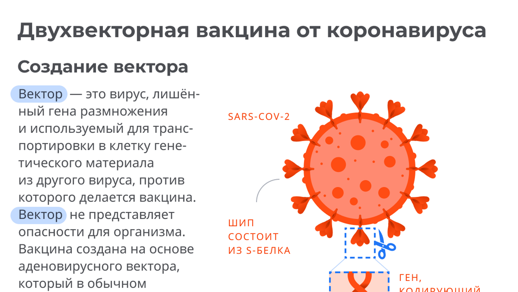 Более высокому риску возникновения ковид 19. Российские вакцины от коронавируса таблица. Сравнительная характеристика вакцин от коронавируса. Состав вакцины от коронавируса в России. Типы вакцин от коронавируса.