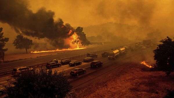 Лесные пожары вдоль автомагистрали 80 в Вакавилле, штат Калифорния - Sputnik Azərbaycan