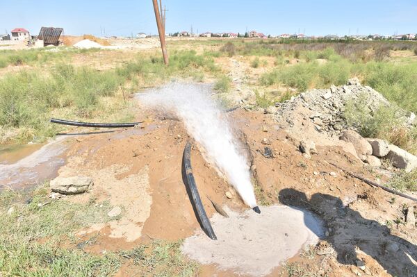 Самовольные врезки в линии и водопои для животных - итоги ночных проверок Azərsu Самовольные врезки в линии и водопои для животных - итоги ночных проверок Azərsu - Sputnik Азербайджан