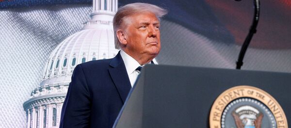 Президент США Дональд Трамп, фото из архива Президент США Дональд Трамп, фото из архива - Sputnik Азербайджан