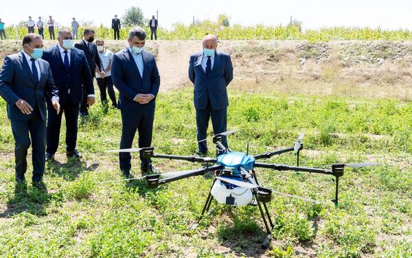 Qarğıdalı sahələri dronlar vasitəsilə dərmanlanıb - Sputnik Azərbaycan