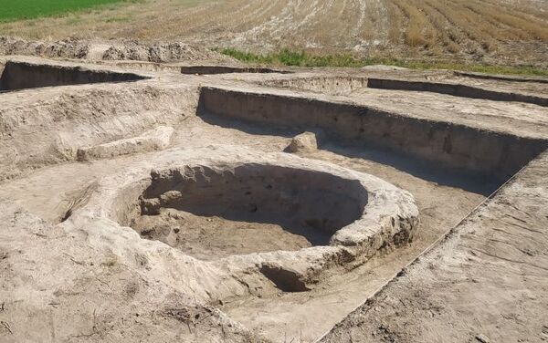 Во время раскопок на территории села Хатаи Агстафинского района - Sputnik Азербайджан