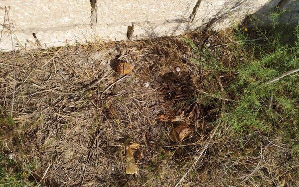 Неразорвавшиеся боеприпасы, найденные на территории поселка Ени Гала Хазарского района Баку - Sputnik Азербайджан