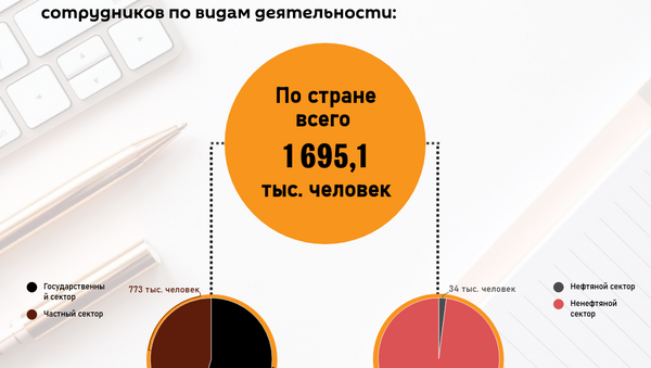 Инфографика: Занятость и безработица - Sputnik Азербайджан