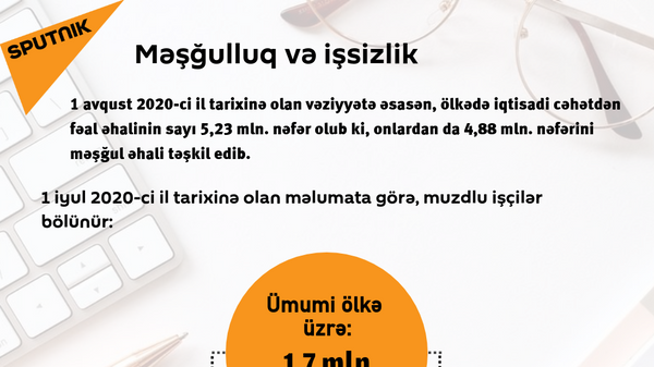 İnfoqrafika: Məşğulluq və işsizlik  - Sputnik Azərbaycan