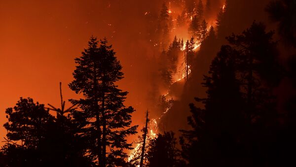 Лесной пожар в Лос-Анджелесе, Калифорния - Sputnik Azərbaycan