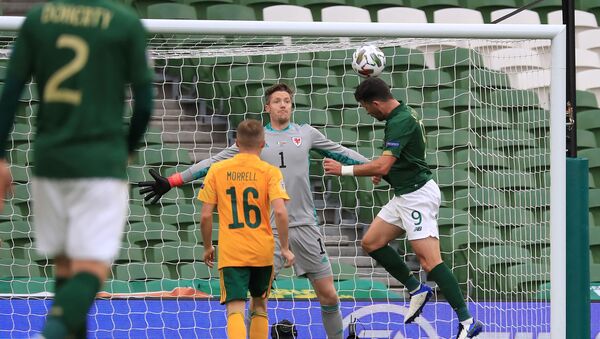 Игровой момент матча Ирландия - Уэльс - Sputnik Азербайджан