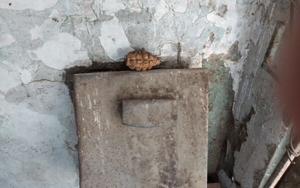 Ручная граната, найденная в 9-м микрорайоне Бинагадинского района столицы - Sputnik Азербайджан