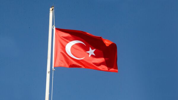 Türkiyə bayrağı, arxiv şəkli - Sputnik Azərbaycan