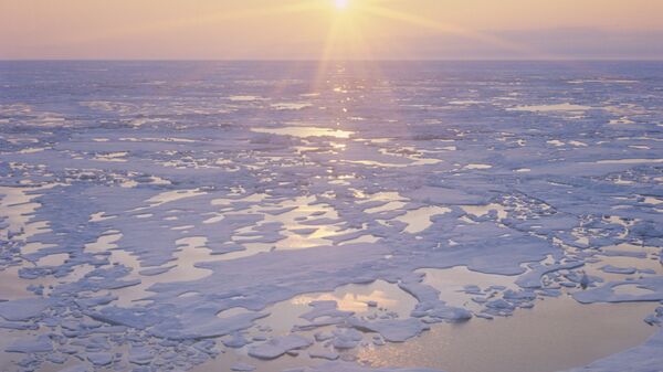 Arktika buzları - Sputnik Azərbaycan