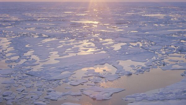 Arktika buzları - Sputnik Azərbaycan