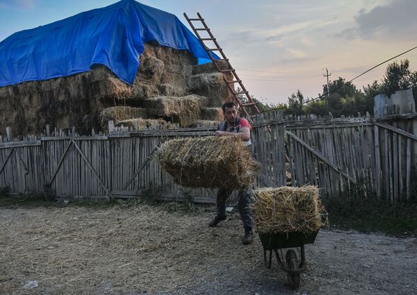 Жизнь в прифронтовых селах Агдамского района в Азербайджане - Sputnik Азербайджан