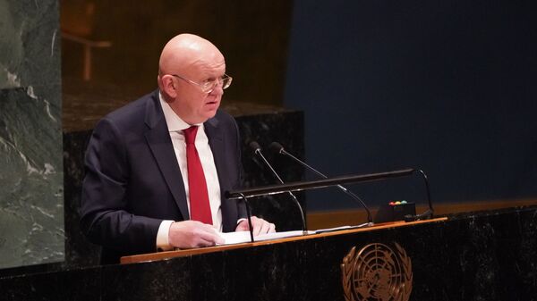 Постоянный представитель РФ при ООН Василий Небензя, фото из архива - Sputnik Азербайджан